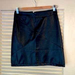 Black vegan leather mini skirt with visible back zipper.